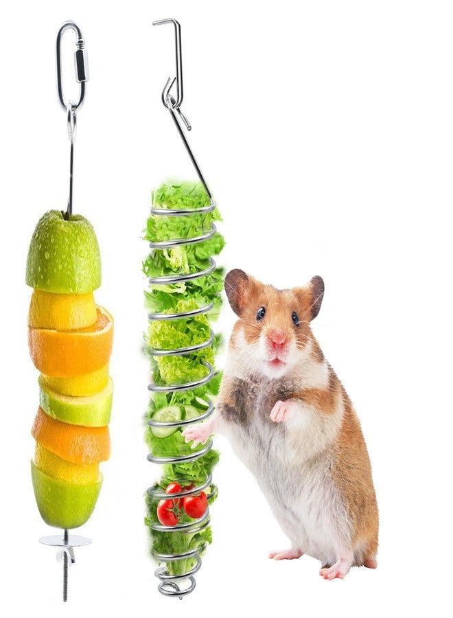 aeloer 2pcs Rat Enrichment Foraging Toys, 304 Stainless Steel Pet Rats Fruit Vegetable Holder, Hanging Slow Feeder Mice Feeder, Fancy Mice Cage Accessories Puzzle Toy for Hamster Rodents Bird Parakeet - Image 1